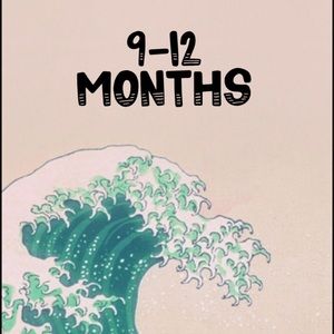 9-12 months